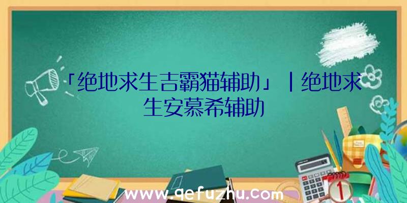 「绝地求生吉霸猫辅助」|绝地求生安慕希辅助